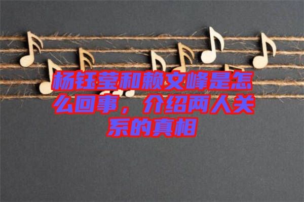 楊鈺瑩和賴文峰是怎么回事，介紹兩人關(guān)系的真相