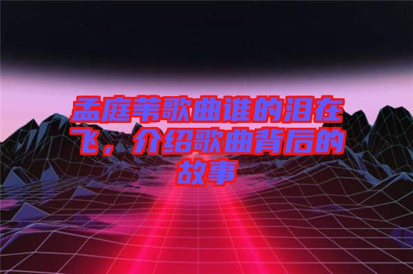 孟庭葦歌曲誰(shuí)的淚在飛，介紹歌曲背后的故事