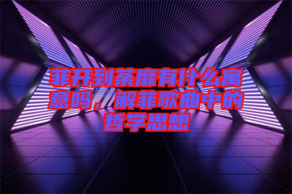 菲開到荼靡有什么寓意嗎，解菲歌曲中的哲學(xué)思想