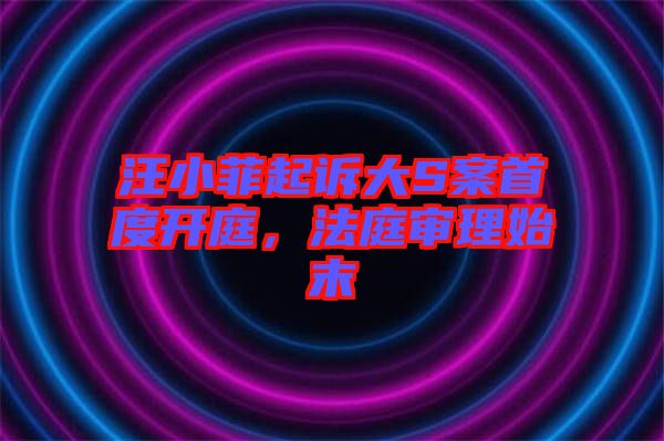 汪小菲起訴大S案首度開庭，法庭審理始末