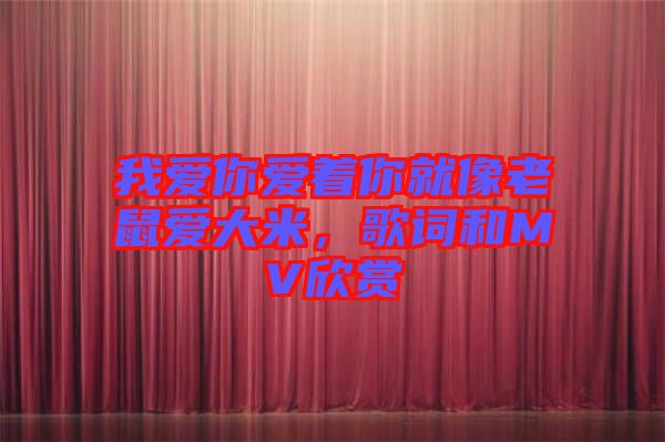 我愛你愛著你就像老鼠愛大米，歌詞和MV欣賞