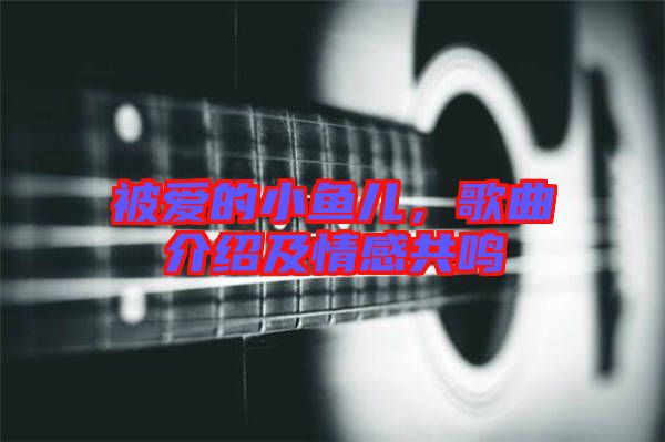 被愛的小魚兒，歌曲介紹及情感共鳴