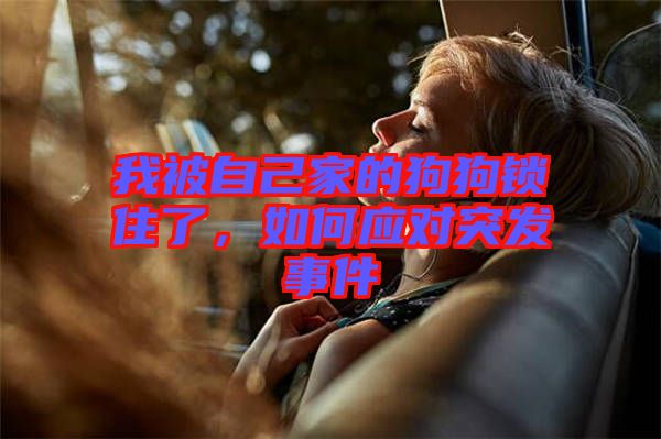 我被自己家的狗狗鎖住了，如何應(yīng)對突發(fā)事件