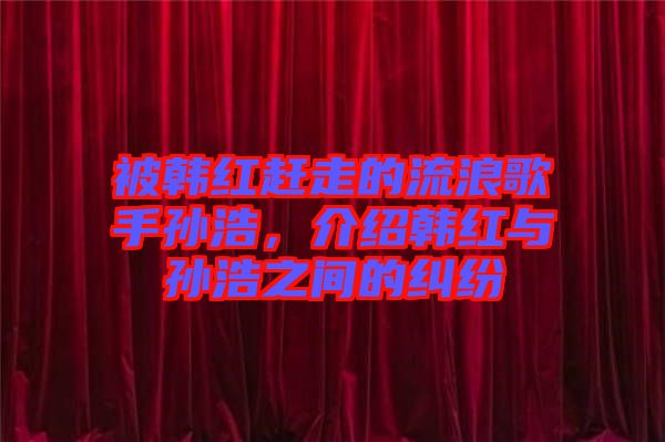 被韓紅趕走的流浪歌手孫浩，介紹韓紅與孫浩之間的糾紛