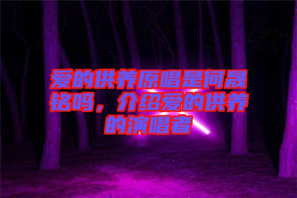 愛的供養(yǎng)原唱是何晟銘嗎，介紹愛的供養(yǎng)的演唱者