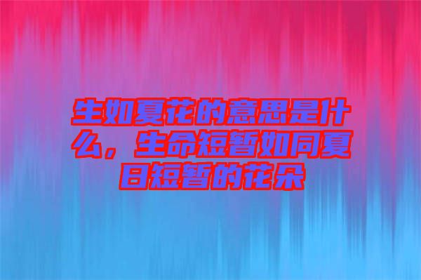 生如夏花的意思是什么，生命短暫如同夏日短暫的花朵