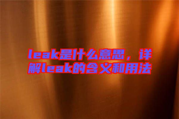 leak是什么意思，詳解leak的含義和用法