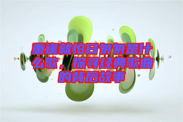 重逢就怕日匆匆是什么歌，探尋經(jīng)典歌曲的背后故事