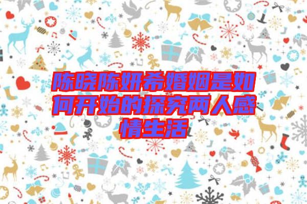 陳曉陳妍?；橐鍪侨绾伍_始的探究?jī)扇烁星樯? width=