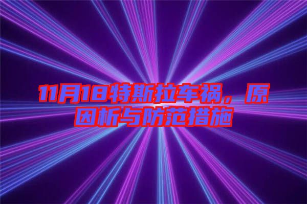 11月18特斯拉車禍，原因析與防范措施