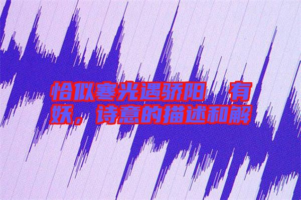 恰似寒光遇驕陽囧囧有妖，詩(shī)意的描述和解
