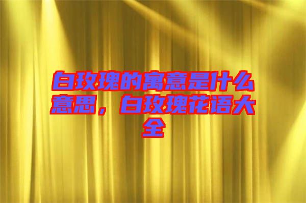 白玫瑰的寓意是什么意思，白玫瑰花語大全