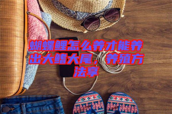 蝴蝶鯉怎么養(yǎng)才能養(yǎng)出大鰭大尾，養(yǎng)殖方法享