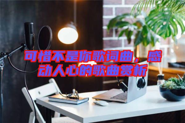 可惜不是你歌詞曲，感動(dòng)人心的歌曲賞析