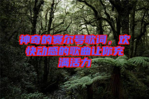 神奇的賽爾號(hào)歌詞，歡快動(dòng)感的歌曲讓你充滿(mǎn)活力