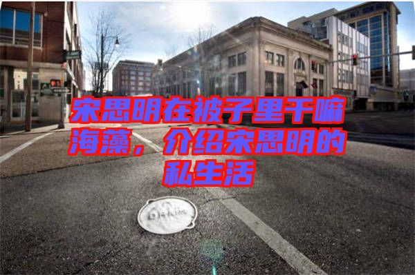 宋思明在被子里干嘛海藻，介紹宋思明的私生活