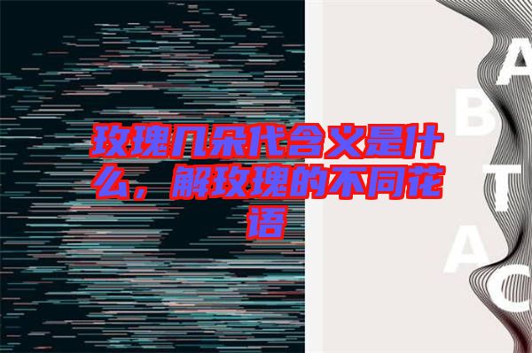玫瑰幾朵代含義是什么，解玫瑰的不同花語
