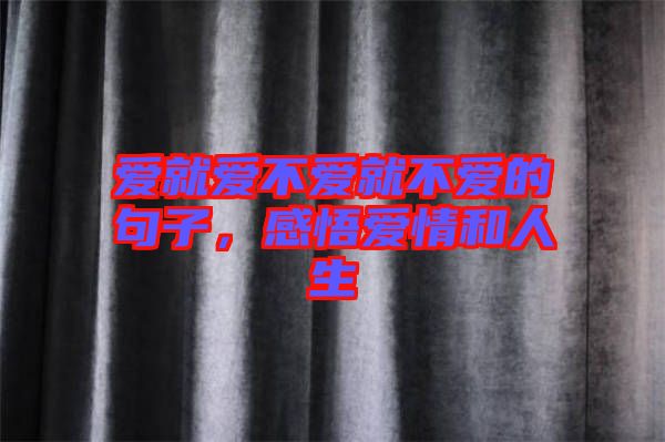 愛就愛不愛就不愛的句子，感悟愛情和人生