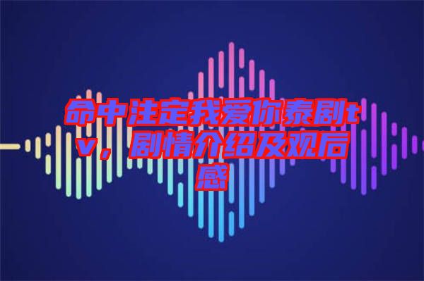 命中注定我愛你泰劇tv，劇情介紹及觀后感