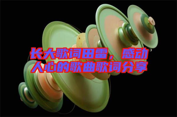 長大歌詞田雷，感動人心的歌曲歌詞分享