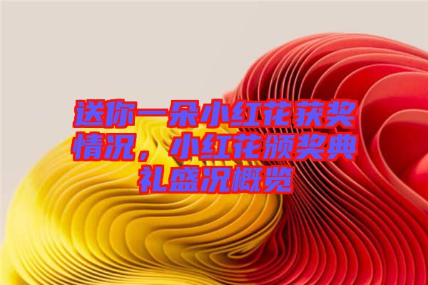 送你一朵小紅花獲獎情況，小紅花頒獎典禮盛況概覽