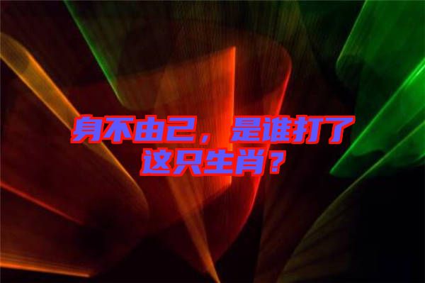 身不由己，是誰打了這只生肖？