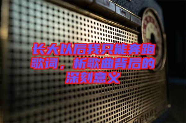 長(zhǎng)大以后我只能奔跑歌詞，析歌曲背后的深刻意義