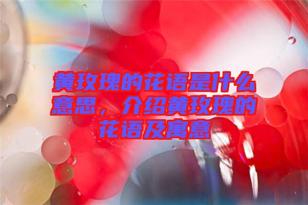黃玫瑰的花語是什么意思，介紹黃玫瑰的花語及寓意